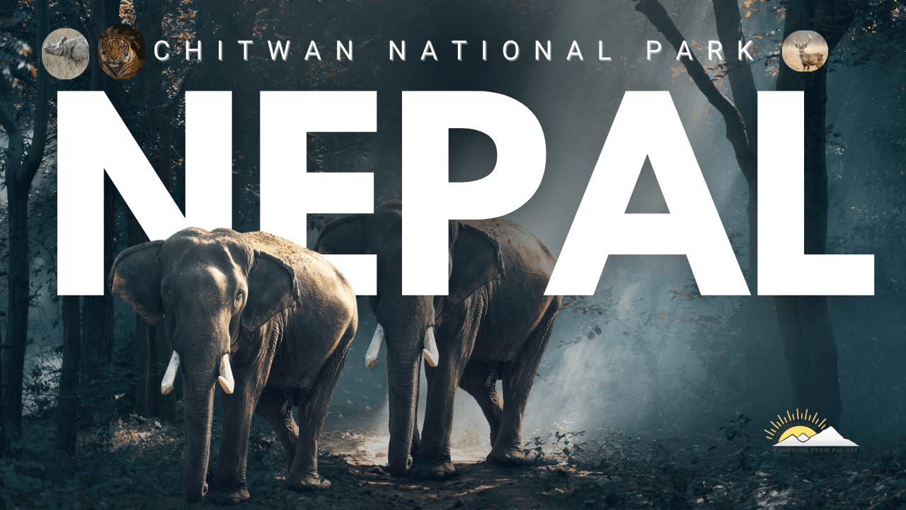 Chitwan National Park